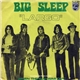 Big Sleep - Largo